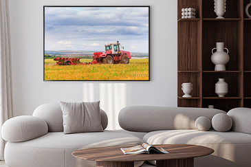 Visualización del producto