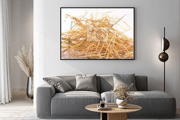Visualización del producto