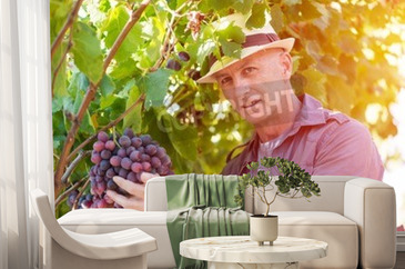 Visualización del producto