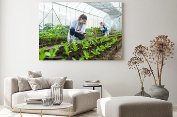 Visualisation du produit